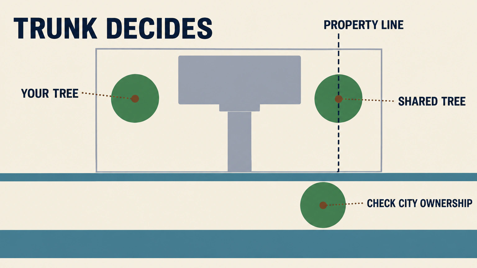 Overhead plan of one residential lot. Three tree canopies are marked: one inside the lot labelled YOUR TREE, one straddling the dashed boundary labelled SHARED TREE, and one in the grass verge beside the road labelled CHECK CITY OWNERSHIP. A dashed PROPERTY LINE runs down the right side of the lot, and the graphic is headed TRUNK DECIDES.